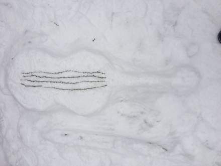 Projektowe zabawy na śniegu