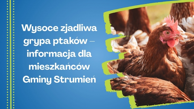 Wysocje zjadliwa grypa ptaków - informacja dla mieszkańców Gminy Strumień