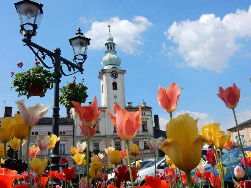 Remont Ratusza rusza niebawem