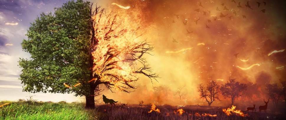 Stop pożarom traw grafika