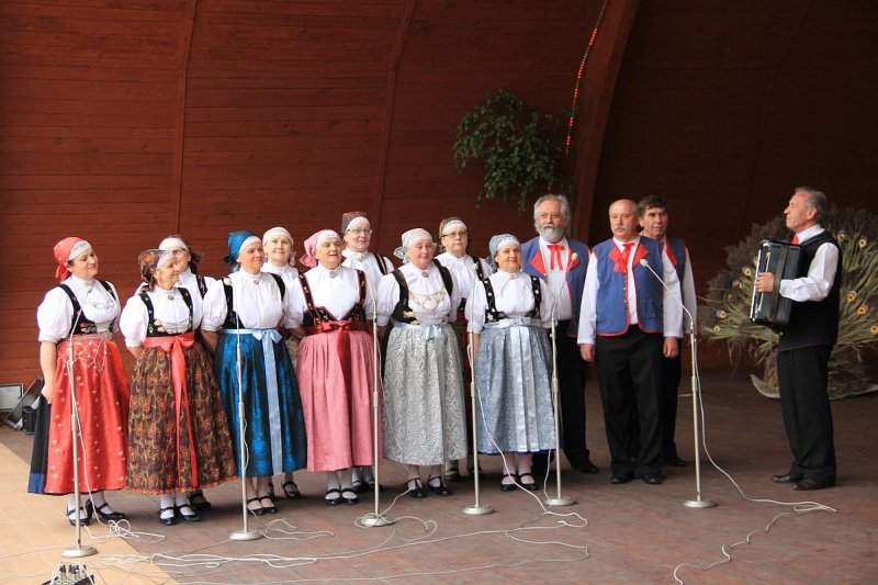 Zespół Strumień na Złotym Kłosie fot. GOK Zebrzydowice