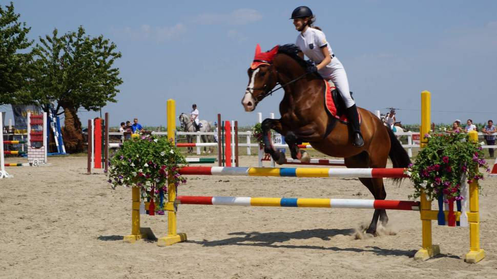 Amatorskie Zmagania Jeździeckie