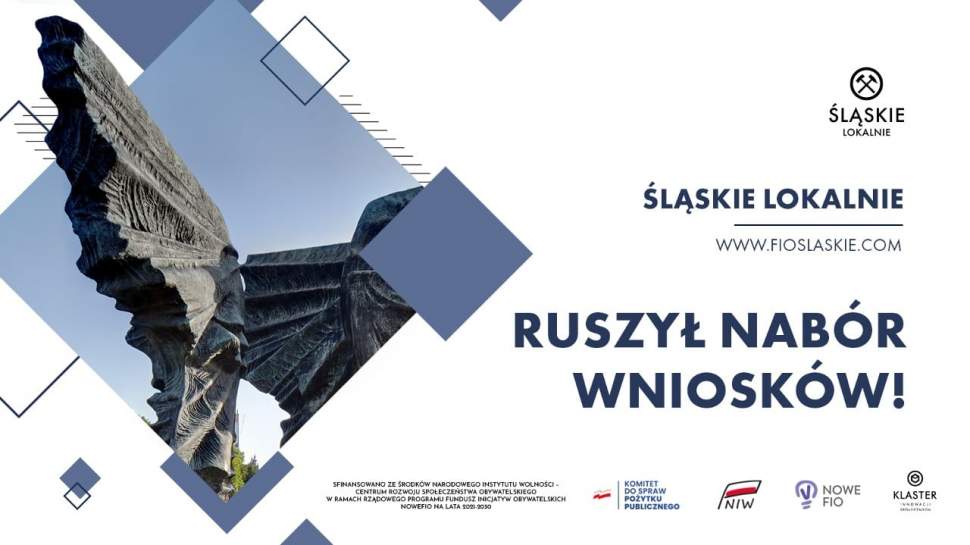 Ruszył nabór wniosków Śląskie Lokalnie