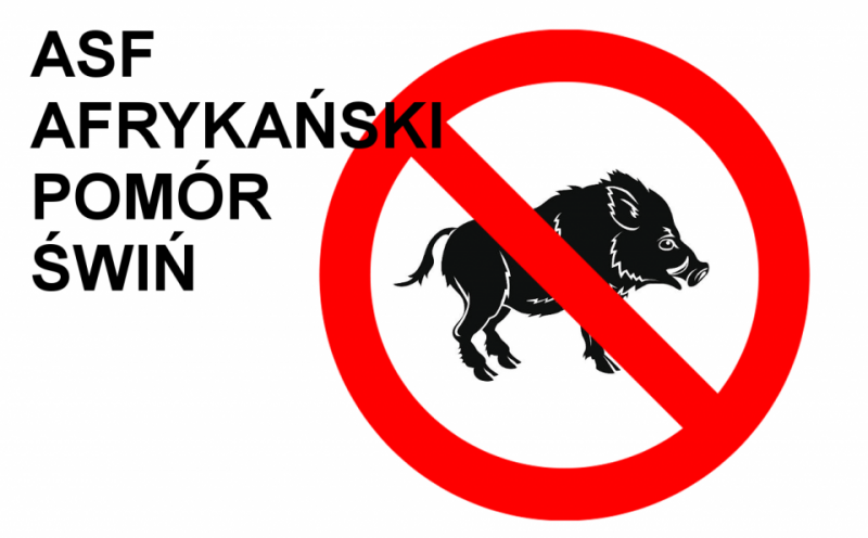 Uwaga! Zagrożenie ASF