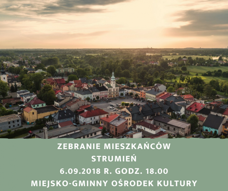 Zebranie Wiejskie Drogomyśl