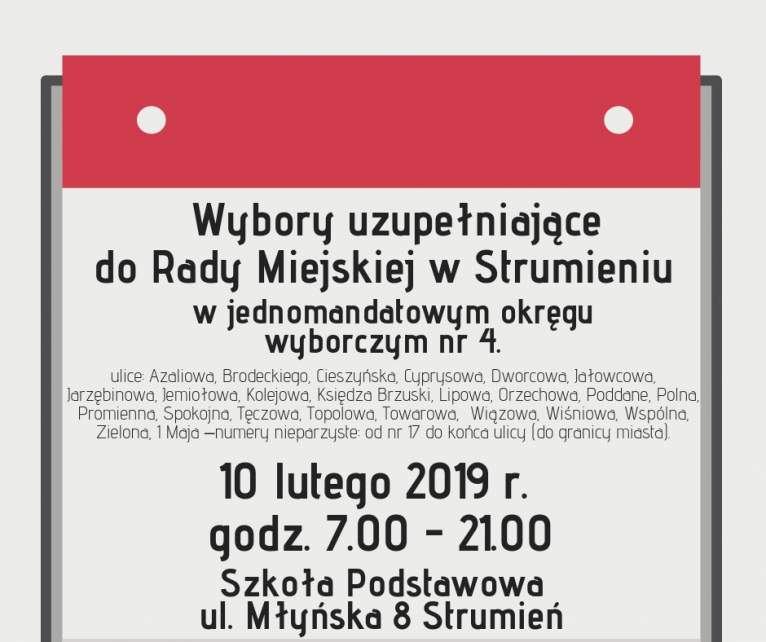 Wybory uzupełniające