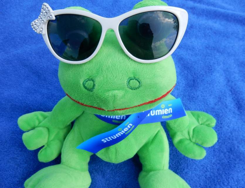 Wakacje w Gminie Strumień poleca Żabka Gratka