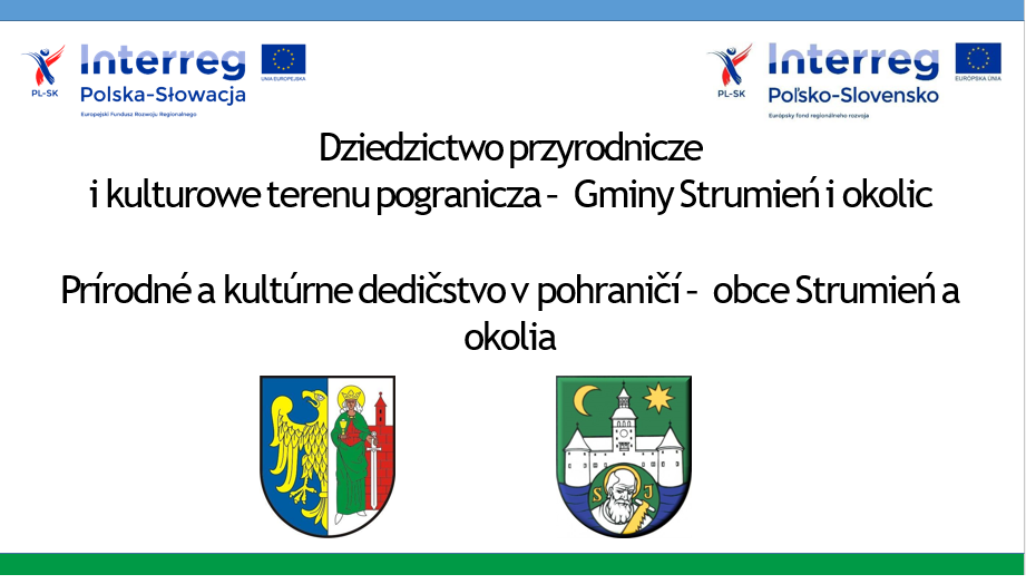 Wideokonferencja - grafika