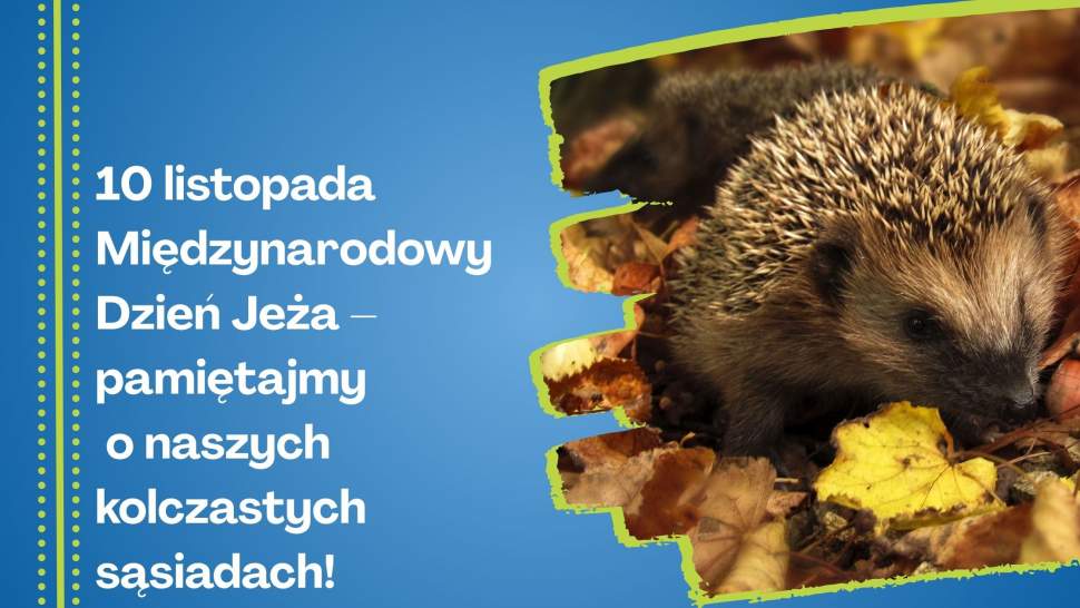 Dzień jeża