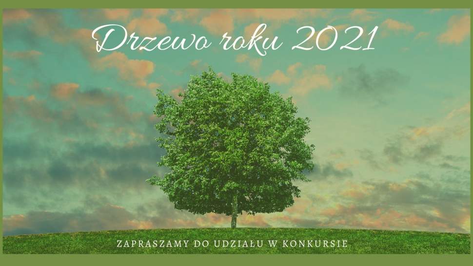 Grafika informacyjna: Drzewo roku 2021 zapraszamy do udziału w konkursie
