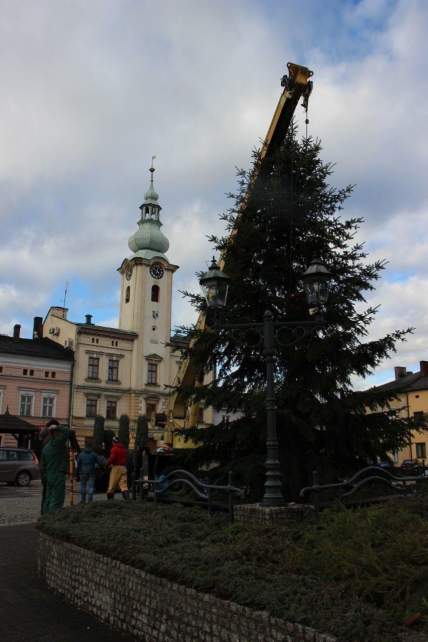 Bożonarodzeniowa choinka