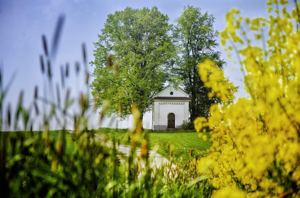 Kapliczka św. Józefa w Pruchnej fot. Anna Kopeć