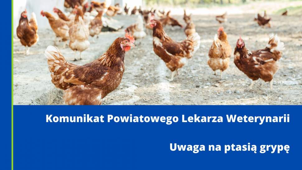 Komunikat Powiatowego Lekarza Weterynarii