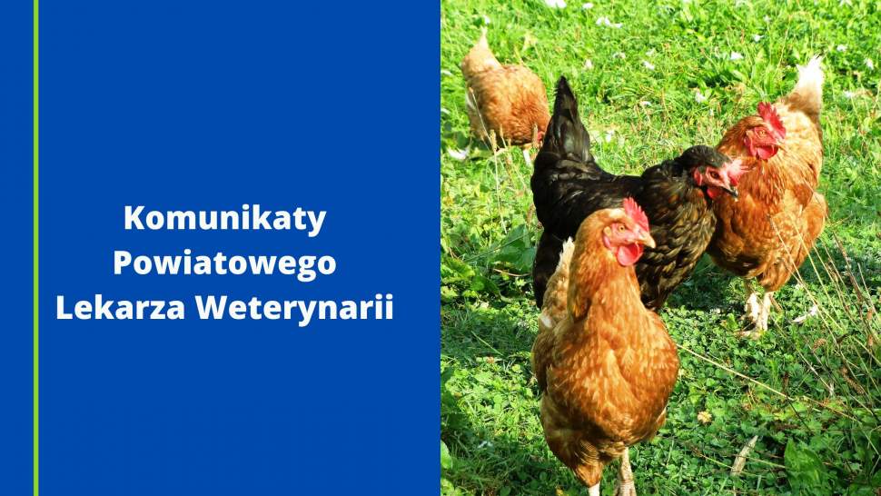Komunikaty Powiatowego Lekarza Weterynarii