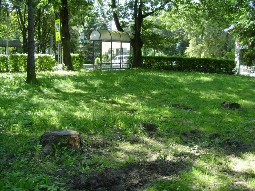 Skwer w Drogomyślu zdj. M.Loska