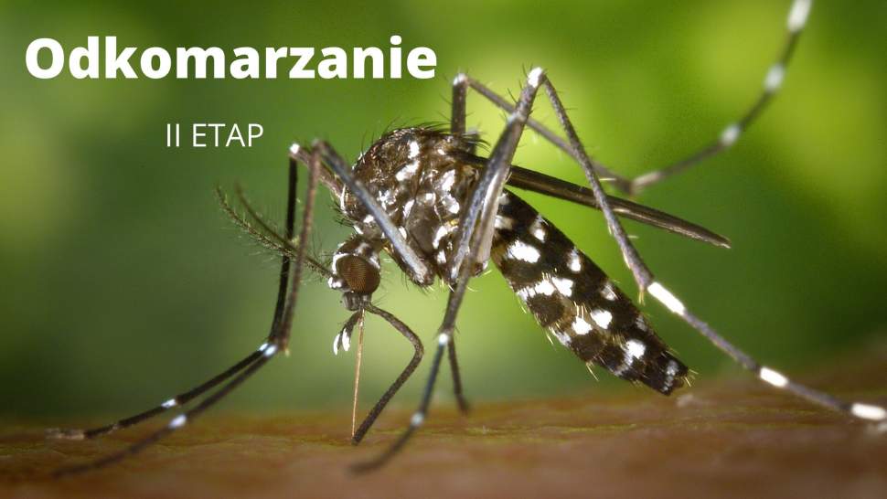 Odkomarzanie w gminie Strumień - II etap