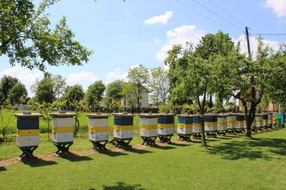 Zapraszamy na spotkanie