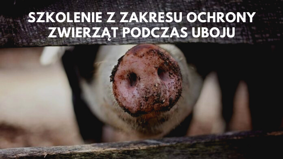 Informacja o szkoleniu