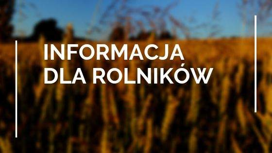 Informacja