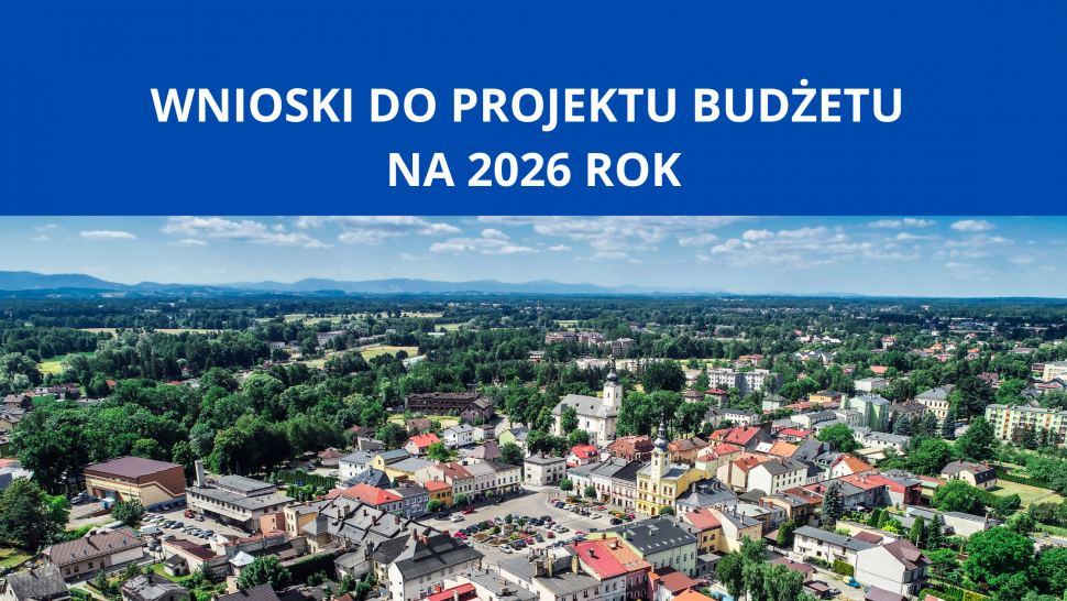 Grafika-Wnioski do projektu budżetu na 2025 rok