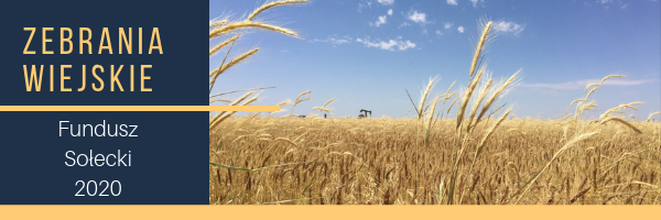Zebrania Wiejskie