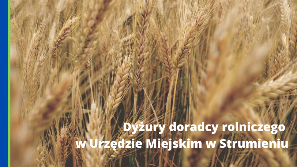 Dyżury doradcy rolniczego w UM w Strumieniu