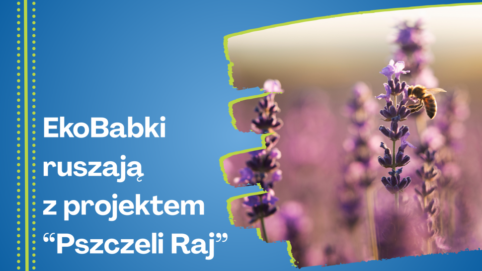 grafika EkoBabki ruszają z projektem "Pszczeli Raj"