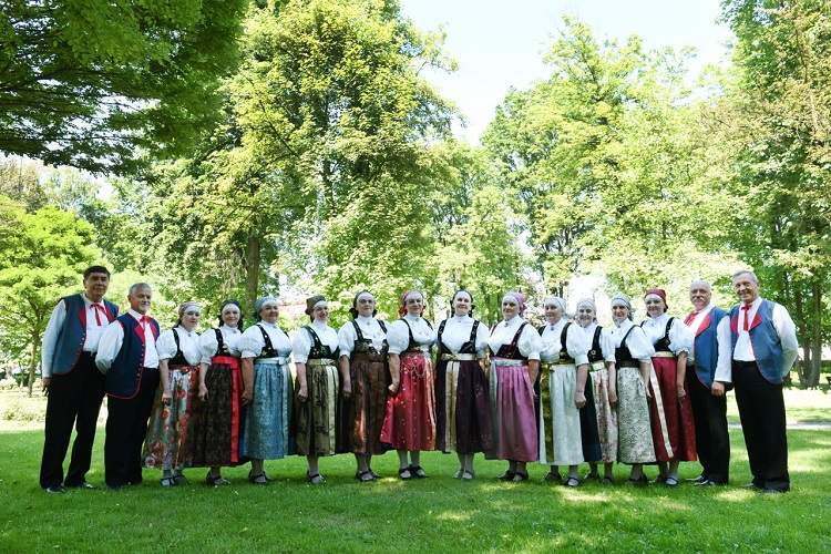 Zespół Regionalny Strumień