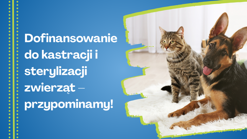Dofinansowanie do kastracji i sterylizacji zwierząt - przypominamy