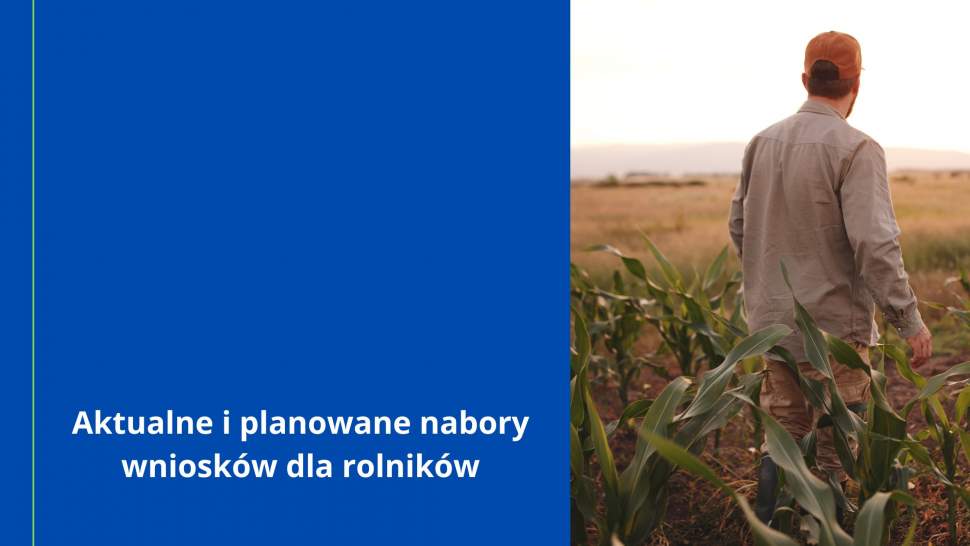 Aktualne i planowane nabory dla rolników