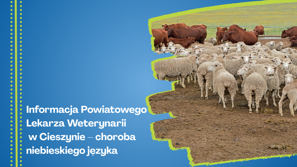 Grafika - Informacja Powiatowego Lekarza Weterynarii