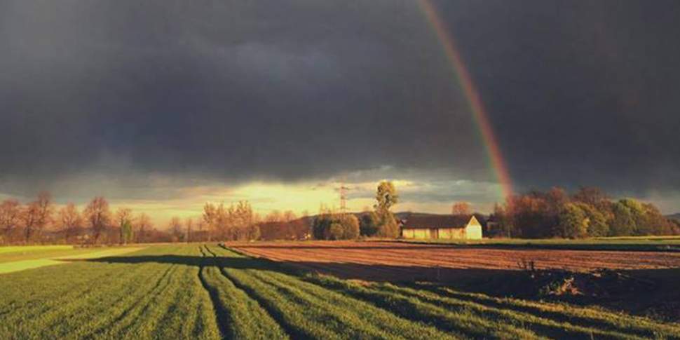 źródło: solectwozbytkow.pl