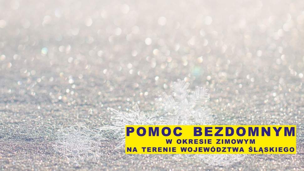 Pomoc bezdomnym - grafika informacyjna