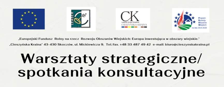 Warsztaty strategiczne/ spotkanie konsultacyjne